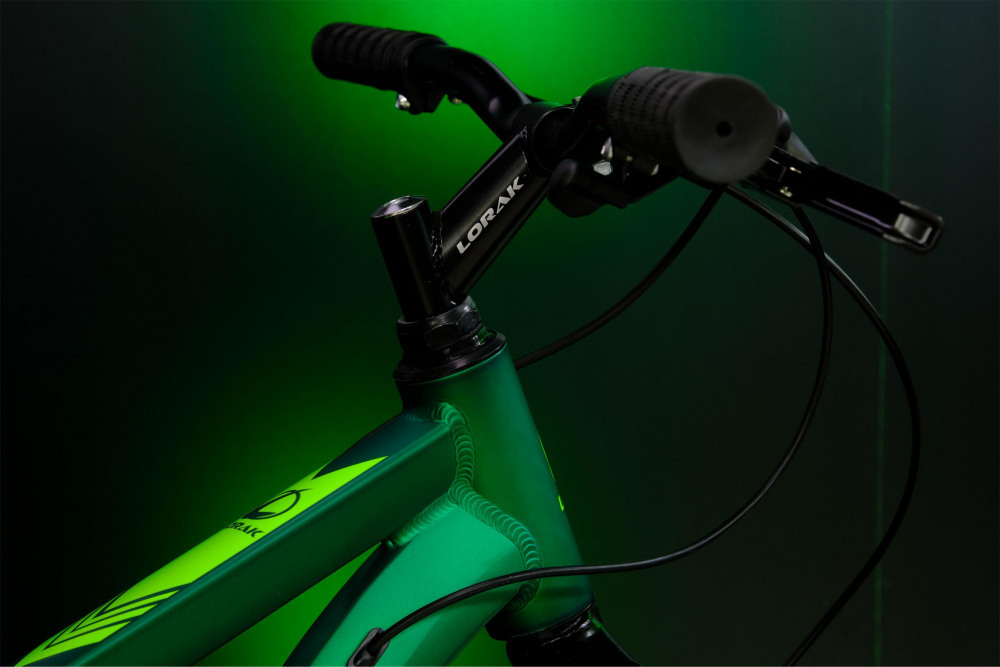 LORAK Fast Brown 26 Матовый Зелёный